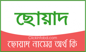 Read more about the article ছোয়াদ নামের অর্থ কি? | Sowad Name Meaning in Bangla – সোয়াদ নামের আরবি অর্থ কি?