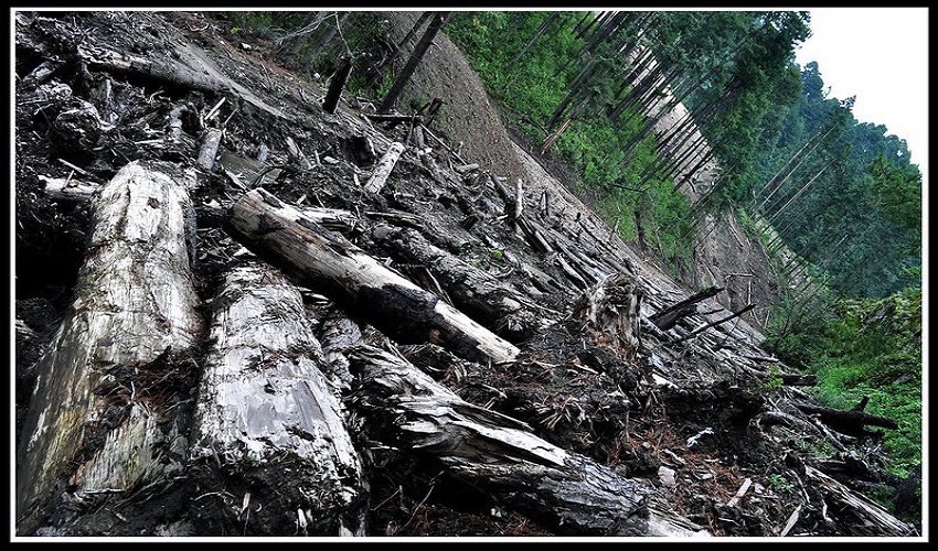 ভয়াবহ সকল দুর্যোগসমূহ ও তাসৃষ্ট কারণ