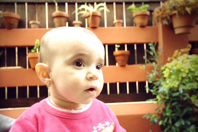 রোহান নামের অর্থ কি Rohan Name Meaning in Bengali