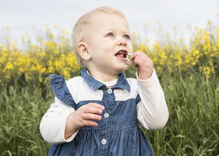 হাসিবা নামের অর্থ কি Hasiba Name Meaning in Bengali