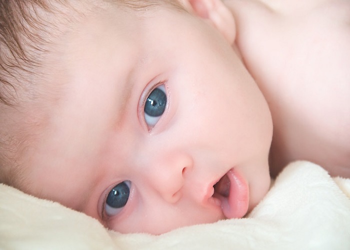 রফিক নামের অর্থ কি Rafik Name Meaning in Bengali