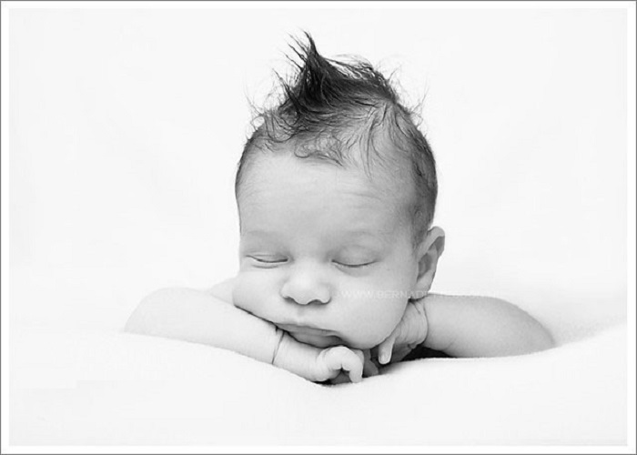 লাবিব নামের অর্থ কি Labib Name Meaning in Bengali