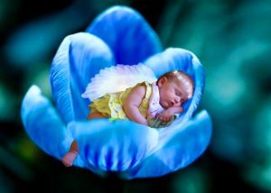 Read more about the article সুস্মিতা নামের অর্থ কি | Sushmita Name Meaning in Bengali