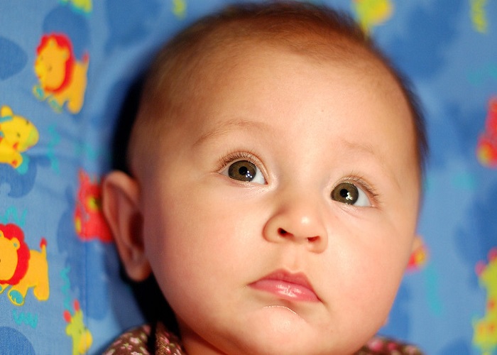 হানিফ নামের অর্থ কি Hanif Name Meaning in Bengali