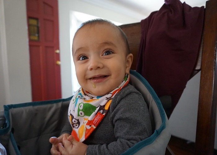 আলভী নামের অর্থ কি Alvi Name Meaning in Bengali