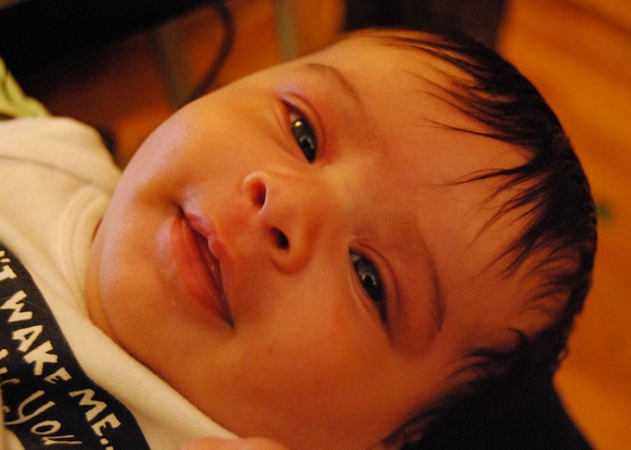 আরিয়া নামের অর্থ কি Ariya Name Meaning in Bengali