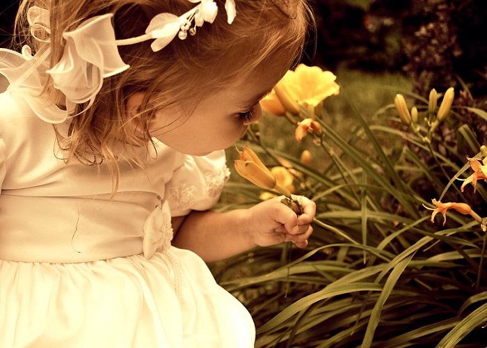 জিনিয়া নামের অর্থ কি Jiniya Name Meaning in Bengali