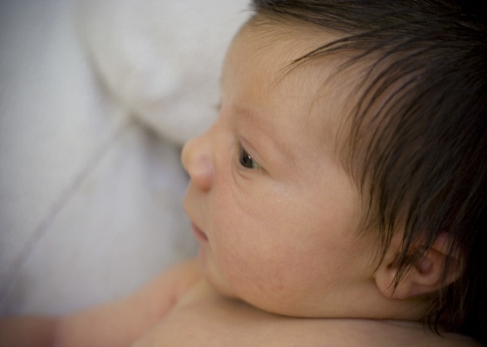 জিহাদ নামের অর্থ কি Jihad Name Meaning in Bengali