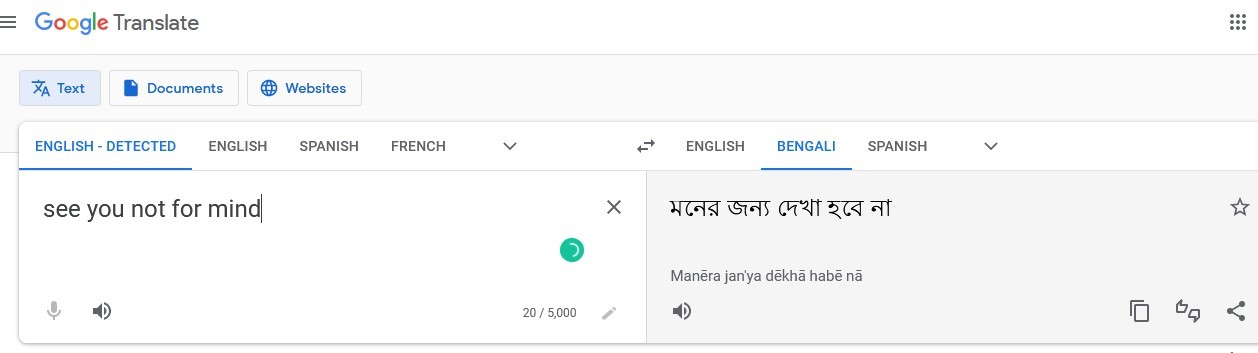 See You Not for Mind এর বাংলা অর্থ কি