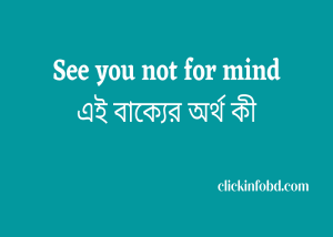 Read more about the article See you not for mind এই বাক্যের অর্থ কী? – সঠিক উওর জানুন